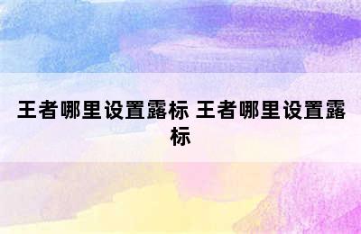 王者哪里设置露标 王者哪里设置露标